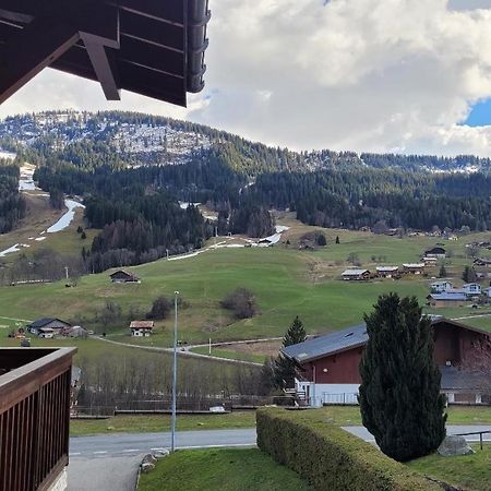 Appartement 1 Chambre Avec Garage Praz-sur-Arly Eksteriør bilde